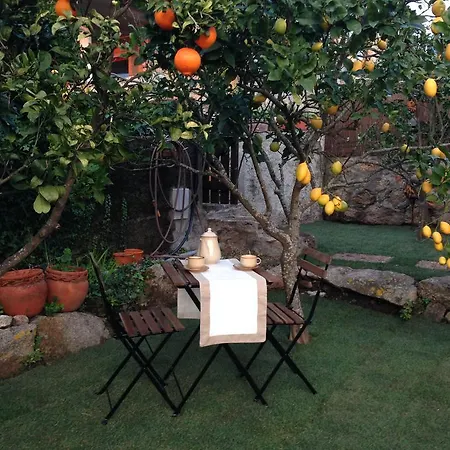 Holiday home A Casa Do Montedor Carreco