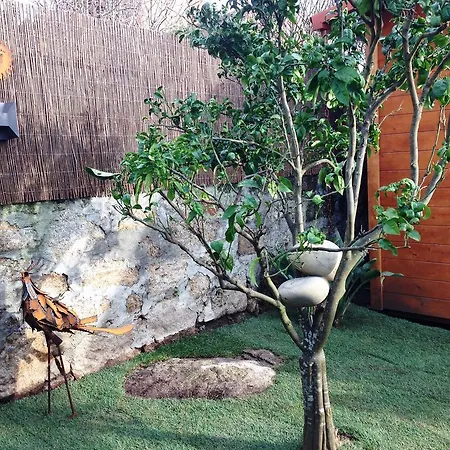A Casa Do Montedor Holiday home